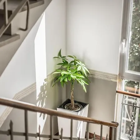 Cucchiarti 3a Apartamento