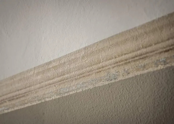 Cucchiarti 3a アパート *