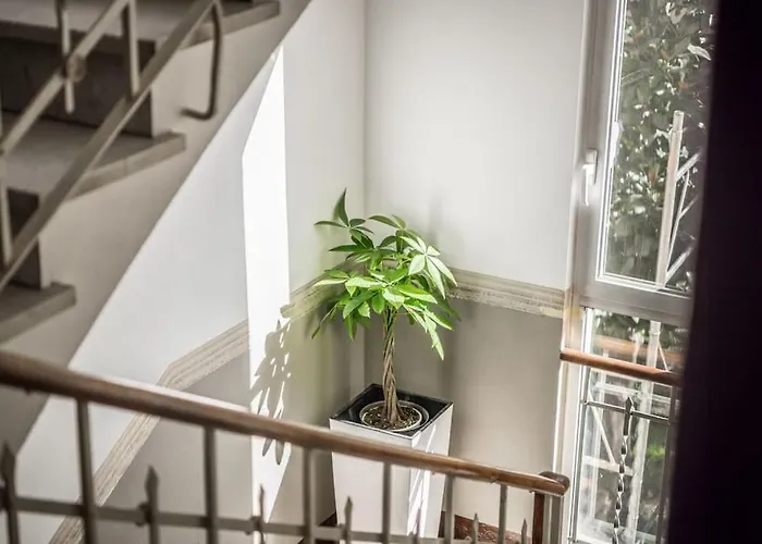 Cucchiarti 3a アパート